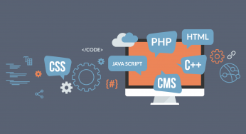 WordPress alternatives and its rise in popularity